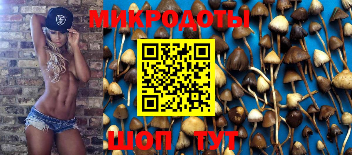 Псилоцибиновые грибы Psilocybine cubensis  Псилоцибиновые грибы прущие грибы  Вход с VPN  Бугуруслан 