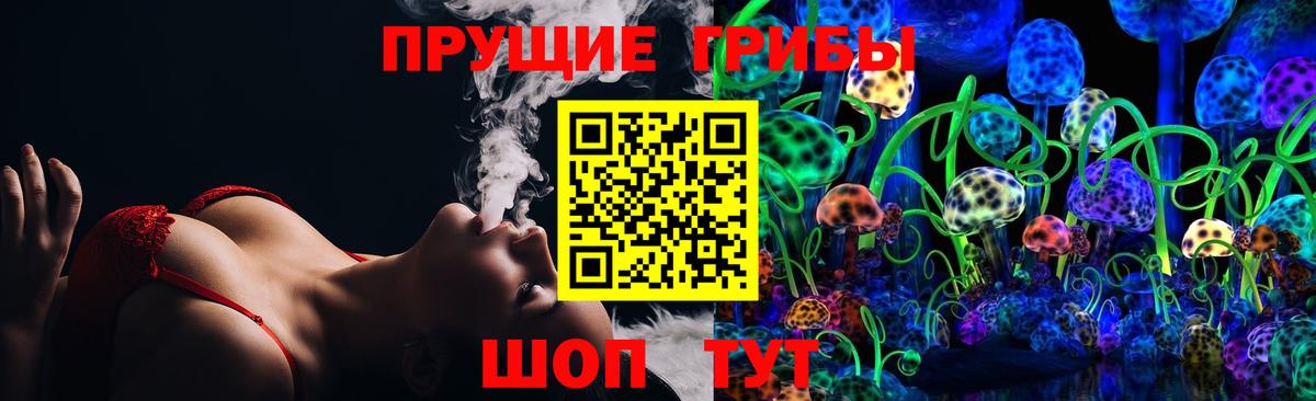 Галлюциногенные грибы Psilocybe Бугуруслан